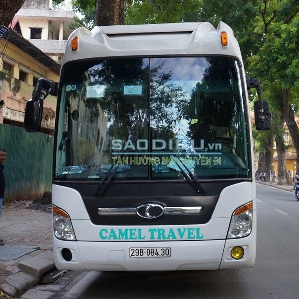Nhà xe Camel Travel