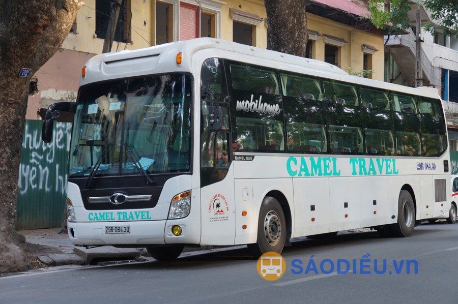 Nhà xe Camel Travel